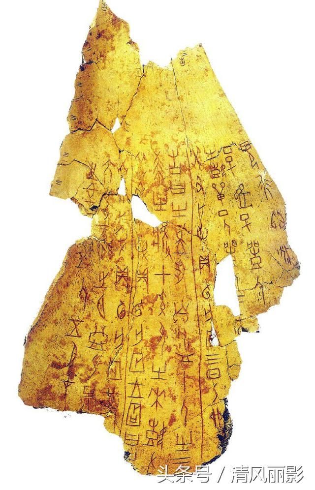 孔子也五谷不分 老杜解字,探本源生肖子鼠