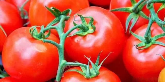 生吃?熟吃?空腹吃?减肥吃?破解关于西红柿的