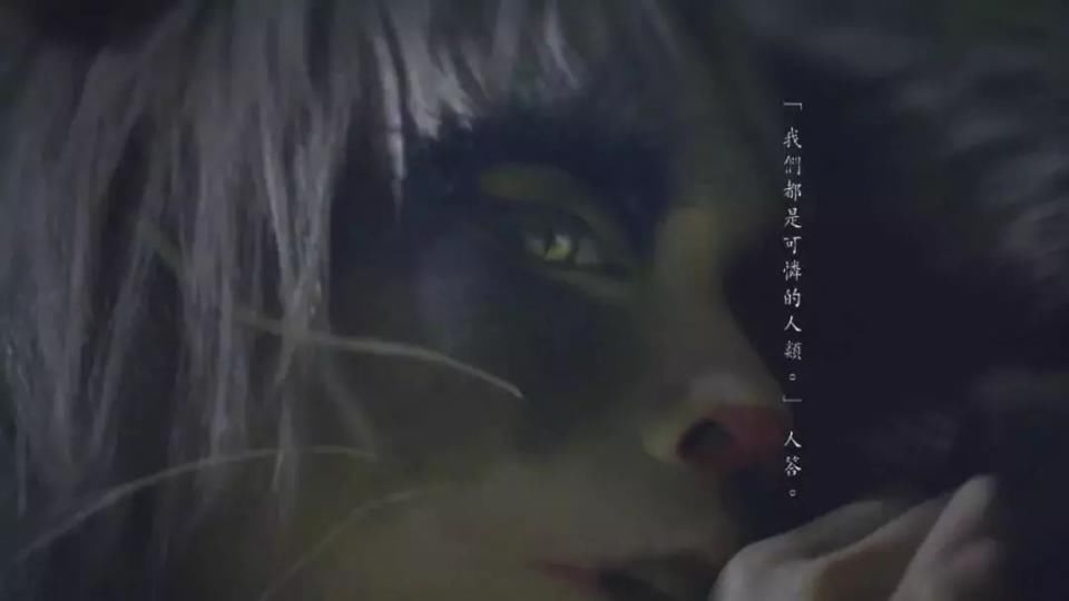 Case | 富士相机的世界命题广告:摄影不只是按