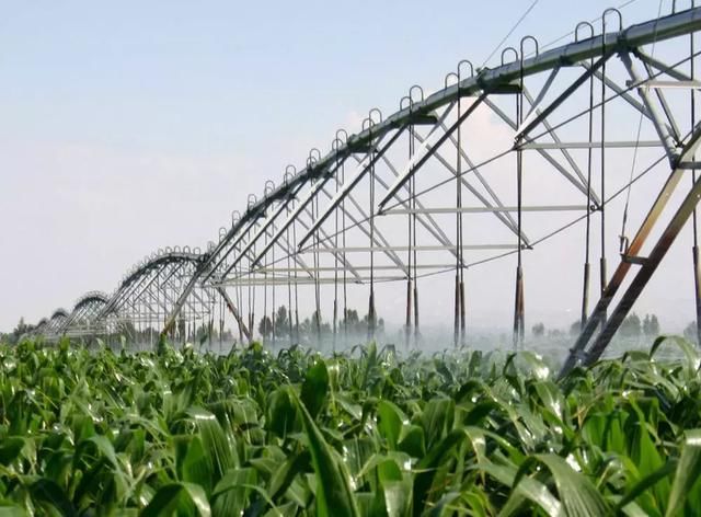 振兴乡村:农业发展大有可为 那些承包土地的农