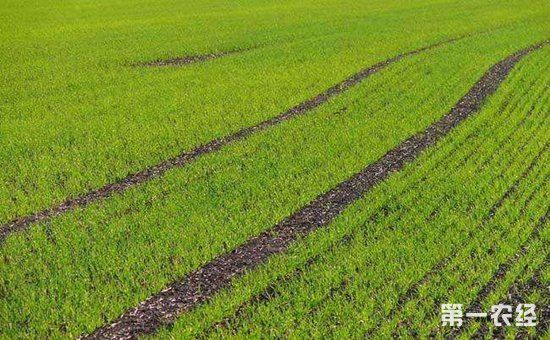 农村土地流转怎么补偿?2018年农村土地流转最