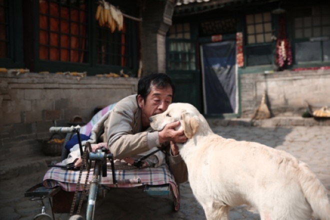 《忠爱无言》将上映 老人与狗彼此相伴温情动人