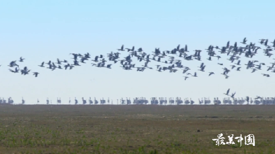 《最美中国》第一季第25期:都昌 《最美中国》第一季第25期:都昌