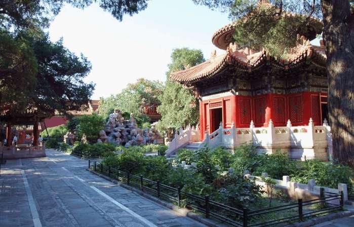 故宫里没有树是有原因的, 这里面讲究多着呢?