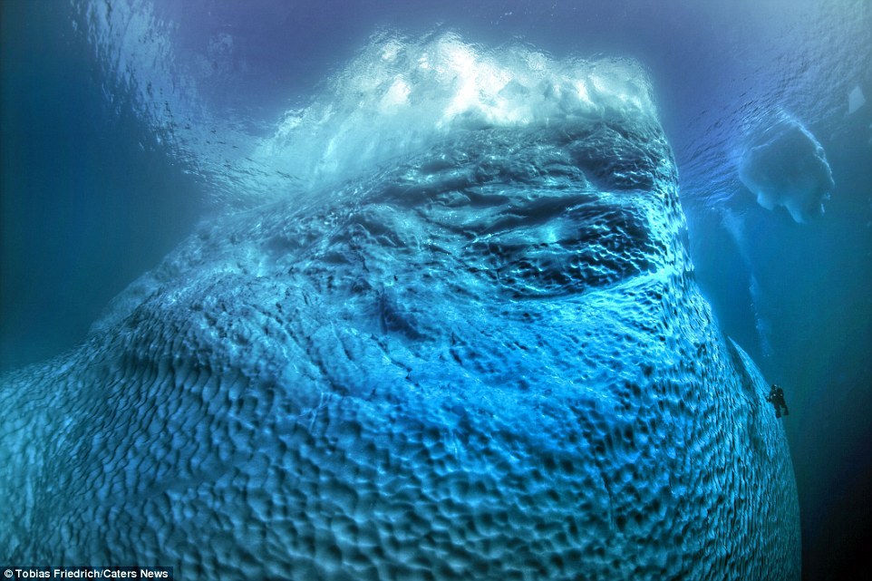 摄影师潜入30米深海拍冰山 画面壮观