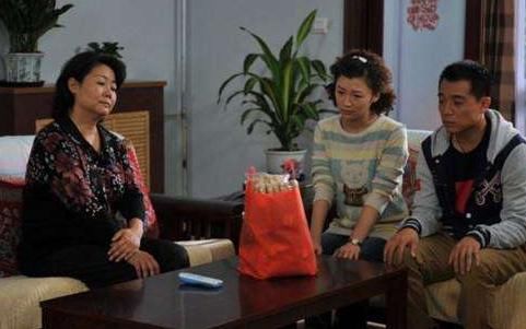 去女友家提亲,准岳母让我入赘我答应后,女友却