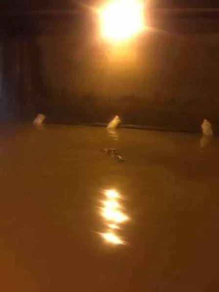 白沙河水库管理方一个王姓工作人员刚才也到了牛街庄新村,勘察现场,他认为这对母子的不幸,和水库泄洪没关系。白沙河水库位于昆明市东三环路虹桥村和苏家营附近,占地3000余亩。因处白沙河上游得名。总库容2700万立方米,集水面积42.3平方公里。“最近昆明下雨,我们每天都在泄洪,每天都在两三万方左右。”白沙河水库管理所这名王姓工作人员介绍,这几天由于昆明雨水较多,白沙河水库都在正常溢水。每天的排水量大约在两到三万方。白沙河的水通过海河最终流向滇池。虽然海河也经过牛街庄,但他表示,这起淹水事故己方已经现场勘查过,遇难者是在隧道内被淹溺亡的,而不是在河道及水库里溺亡的。