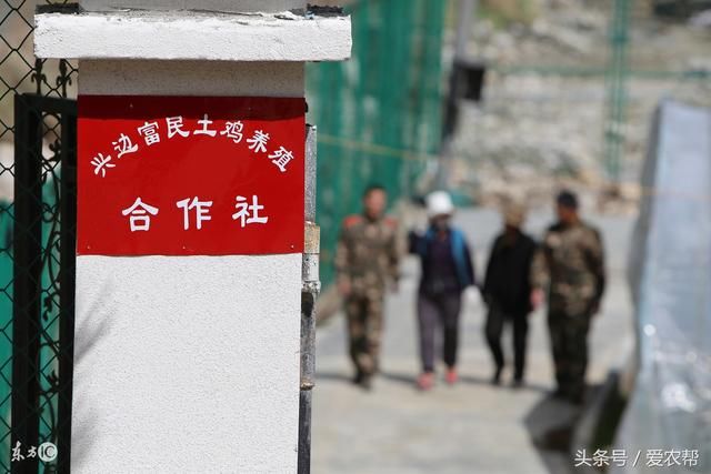 农村合作社注意:国家再出发展新政策,这些红利