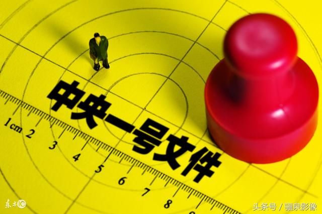 中国农业银行将如何做好服务好乡村振兴战略?