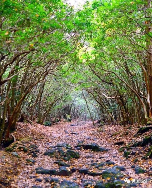 为赚流量让人心寒 网红的底线到底在哪?