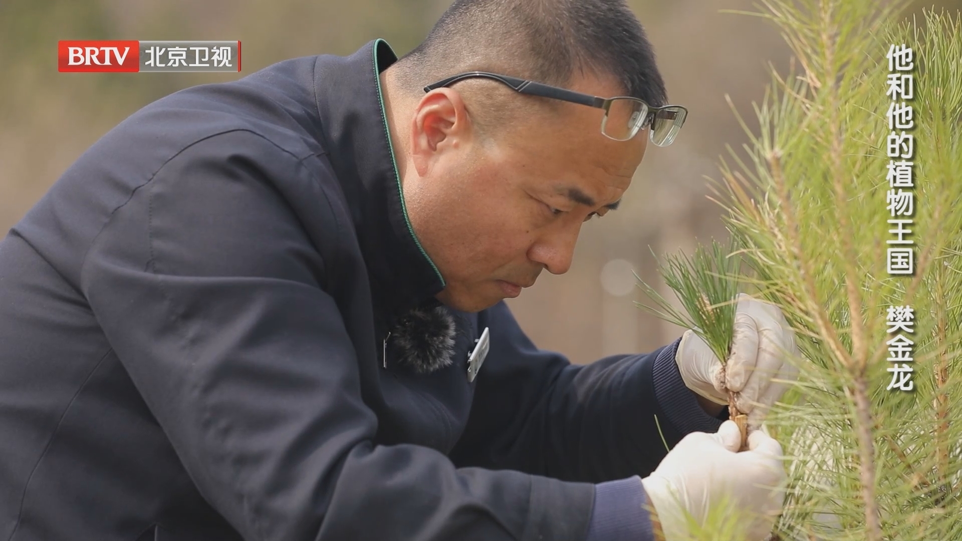 《为你喝彩》20240501敬平凡 敬不凡：他和他的植物王国 樊金龙