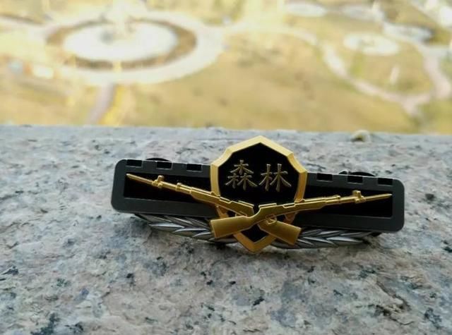 武警各警种改革转制正式定了!细数这些即将退