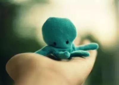 一句话经典情感签名说说心情短语