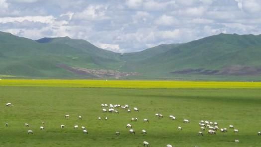 重磅!兰合铁路路线出炉,沿途16站,2018年开建