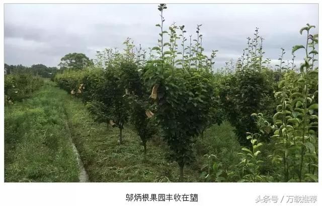 万载罗城:小额信贷助力精准脱贫