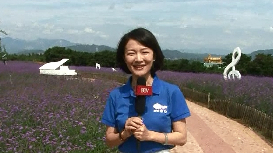 “美丽乡村 筑梦有我”聂一菁再次来到蔡家洼村