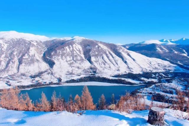 环球旅行趣闻:妹子旅行去摘棉花,早上6点干到