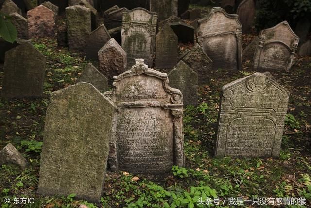 民间故事郭林宗的传说:慈母冤、还阳墓、回耧