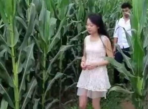 公交车真是令人发指，好想上去打死他们两个