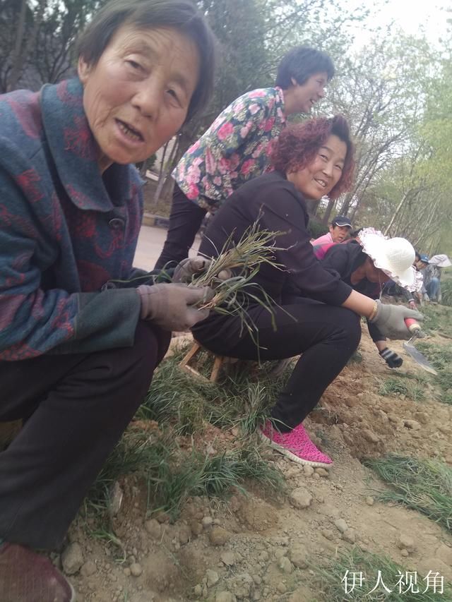 农忙季节,农村大爷大妈打零工,一天男工50女工