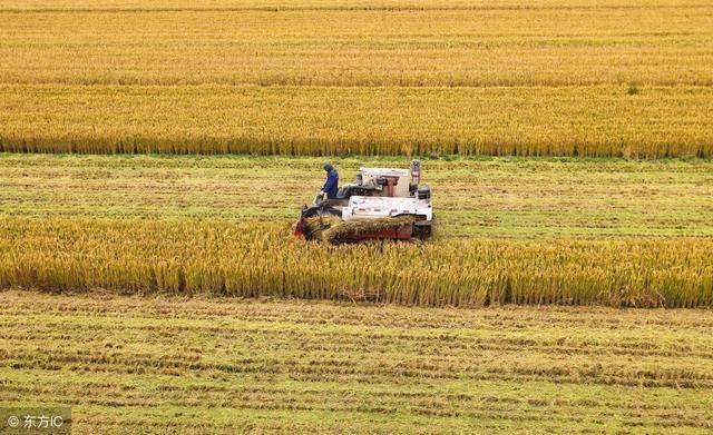 农村包地挣钱吗?土地流转政策是否对农民有益