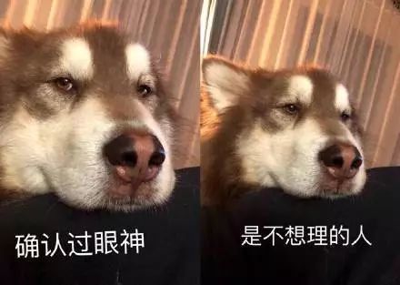 确认过眼神这么红,到底是什么梗?