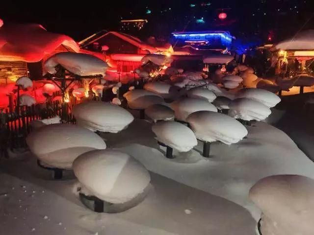 雪乡真的没人去了,你满意了?