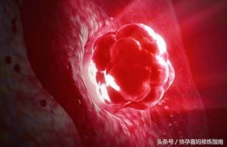 身为女人月经禁忌不懂、连排卵期是啥都不知道