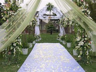 他靠专业建无土草坪,设计婚礼实现年入百万