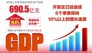 2019区半年经济运行_东营港经济开发区半年经济运行调度会议召开