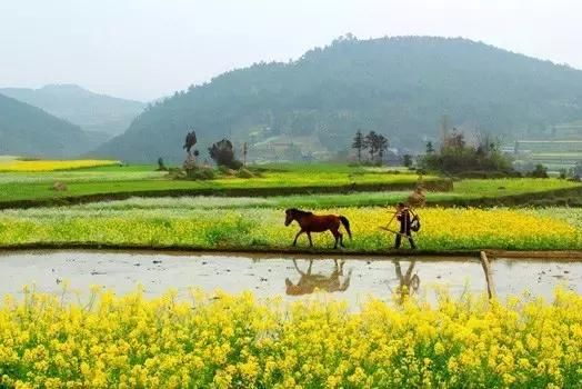 沧州农村宅基地、承包地确权发证时间定了!农