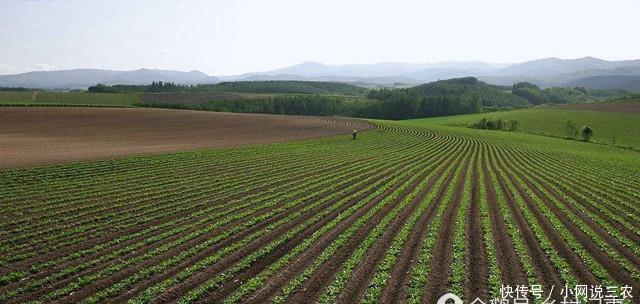 农村土地确权过程中产生误差,面积不准确时农