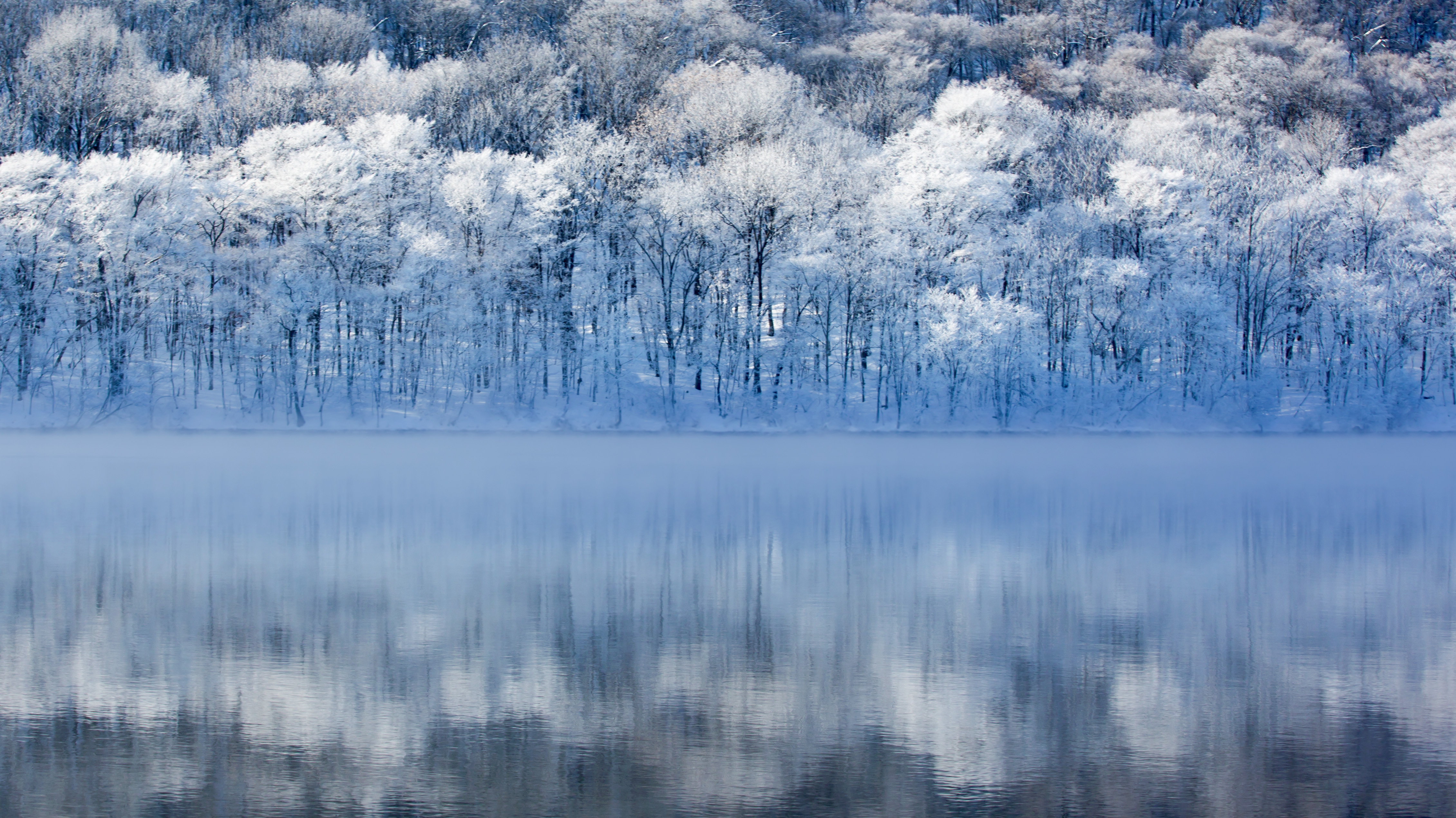 每张都是壁纸！到“雾凇之都”赏“玉树琼花”，宛若仙境！