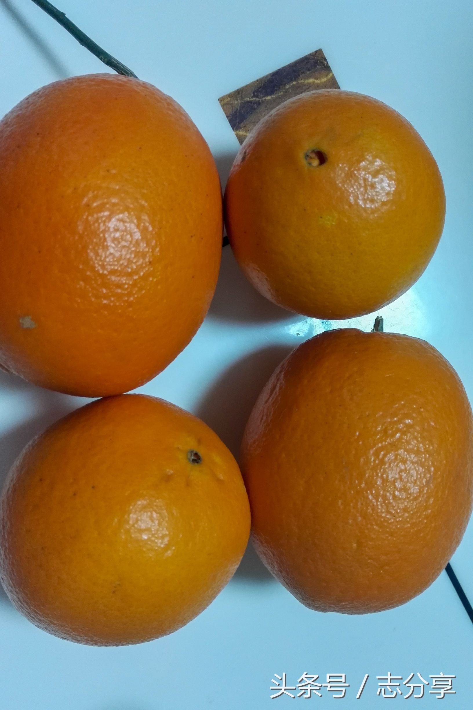 盐加蜂蜜蒸橙子,秒杀一切止咳消炎药,完全没有