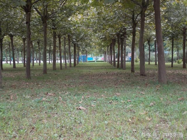 那年十八岁,我高考落榜,复读一年,从专科考到山