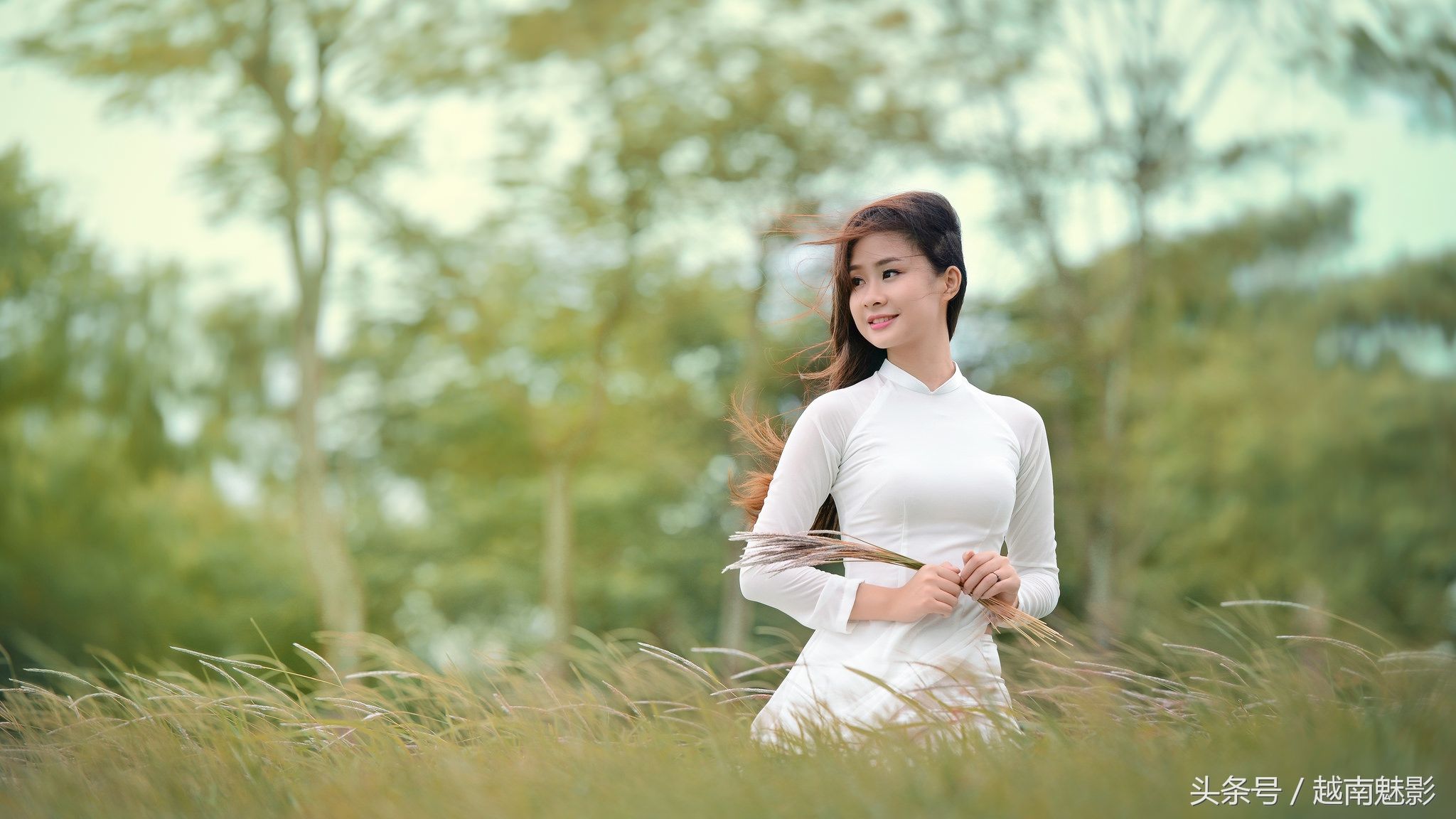 越南女孩的奥黛风情,越式"旗袍"受中国影响深远