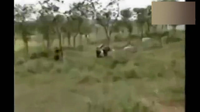 图为日媒拍摄下的画面