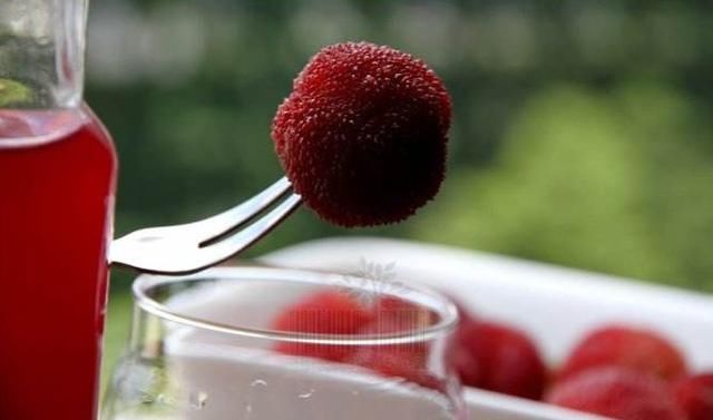 1颗杨梅=10条虫子?吃杨梅前要知道这几个真相