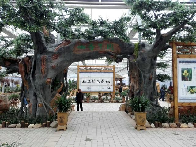 连城兰花博览园兰花的妩媚