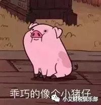 中级通过率比注会还低,准备2019年什么时候开