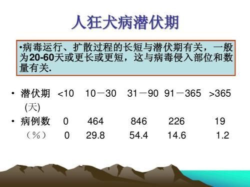 狂犬病潜伏期几十年?狗不死人不死又是怎么回