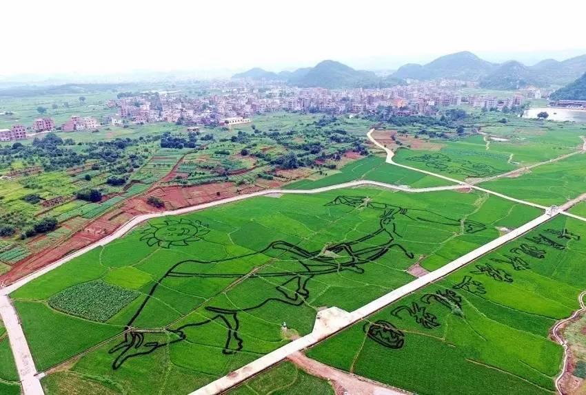 【视角】一个文艺多情的嘉禾,两位茅盾文学奖得主的故乡