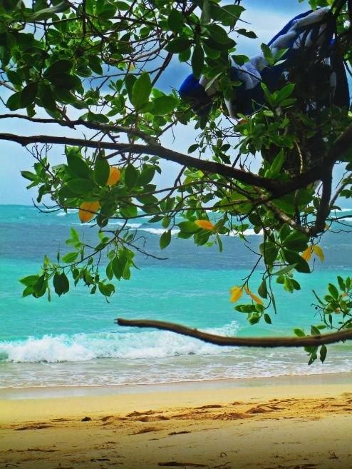 世界杯首次进球的 巴拿马,景美物价低,还免签!