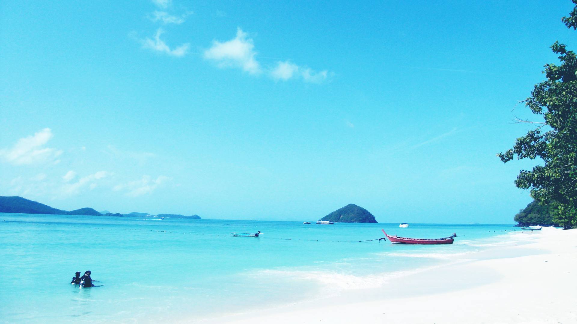 日成交量过千亿中国版原油期货!为何这么火