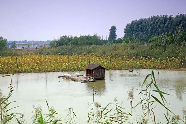 徐州微山湖千島溼地