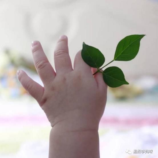 婴幼儿宝宝身高体重头围对照表,你家宝宝各项