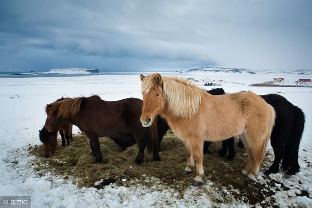 发财马5月佛光普照,时来运转,准备好接没?
