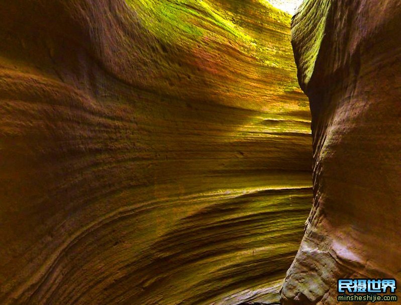 额济纳胡杨林摄影团-怪树林-七彩丹霞-波浪谷-雨岔大峡谷摄影 额济纳胡杨林摄影团-怪树林-七彩丹霞-波浪谷-雨岔大峡谷摄影