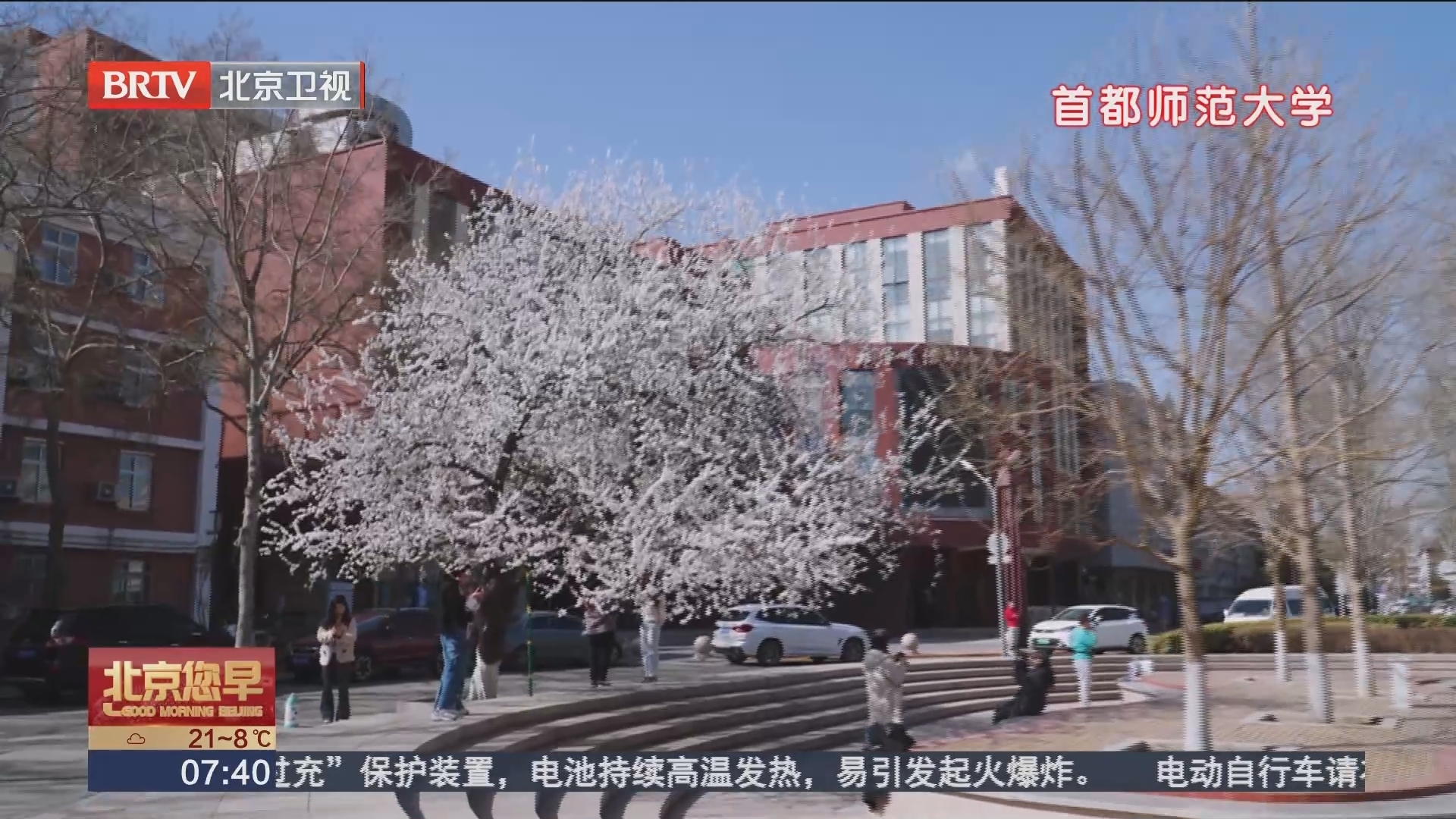 满园春色关不住 周末来高校拥抱春天