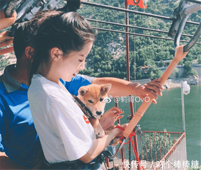 知名抖音网红, 抖音拥有2千多万粉丝, 却在400